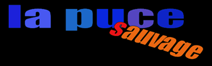 La Puce Sauvage